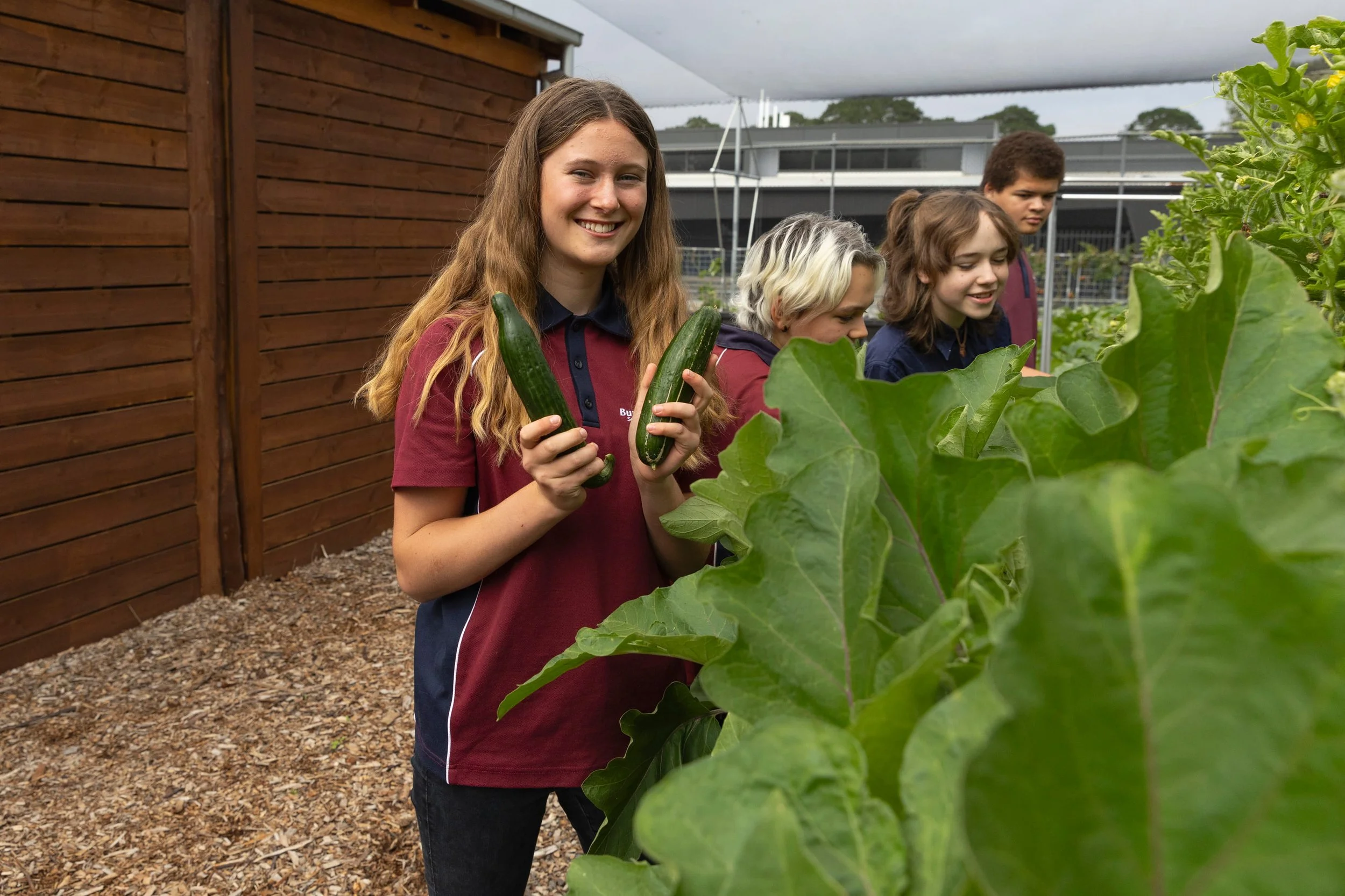 zuccinis in farm.jpg
