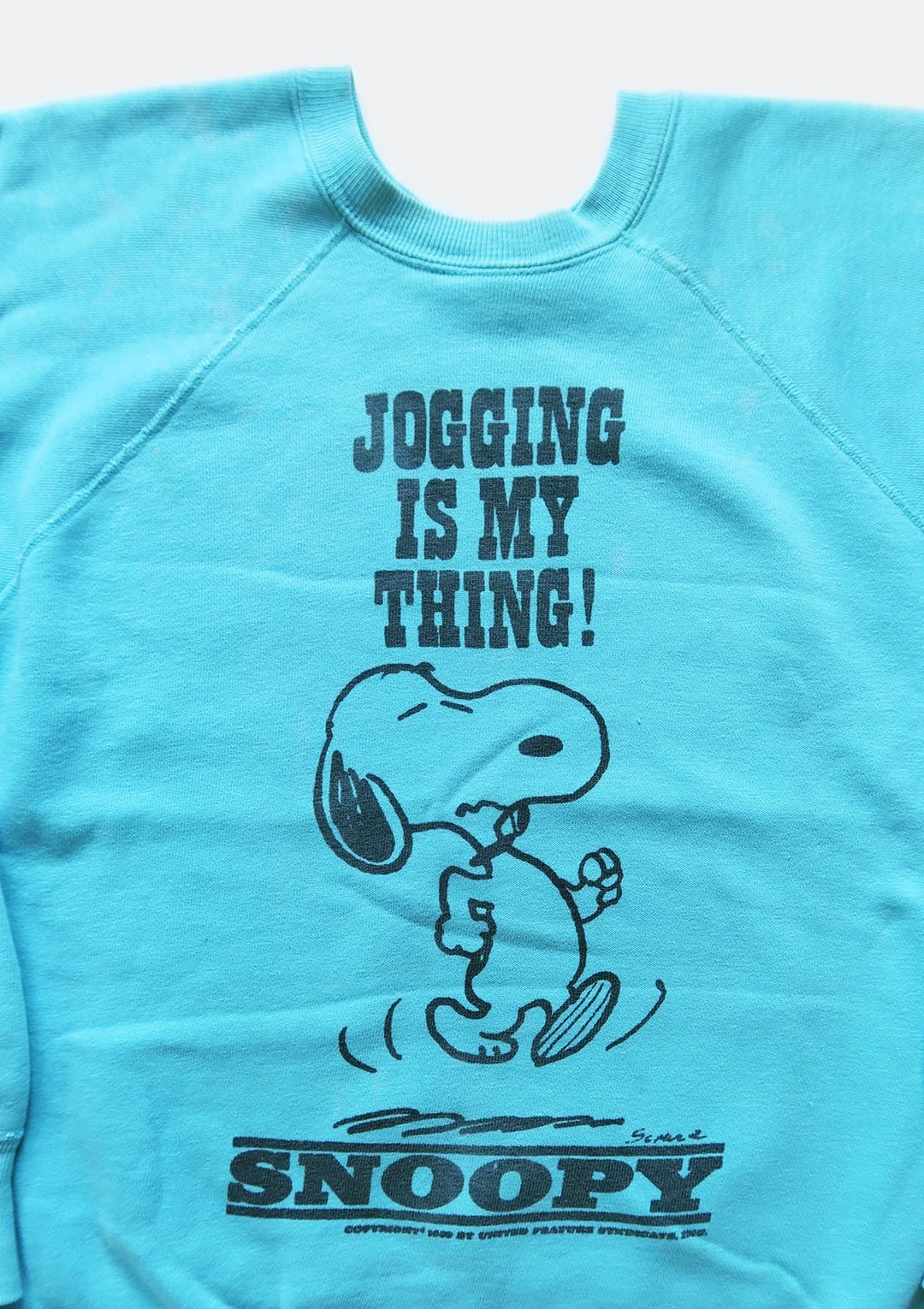 snoopy_jogging_03.jpg