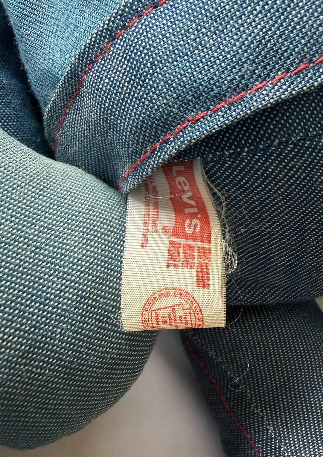 levis_ragdolls_15.jpg