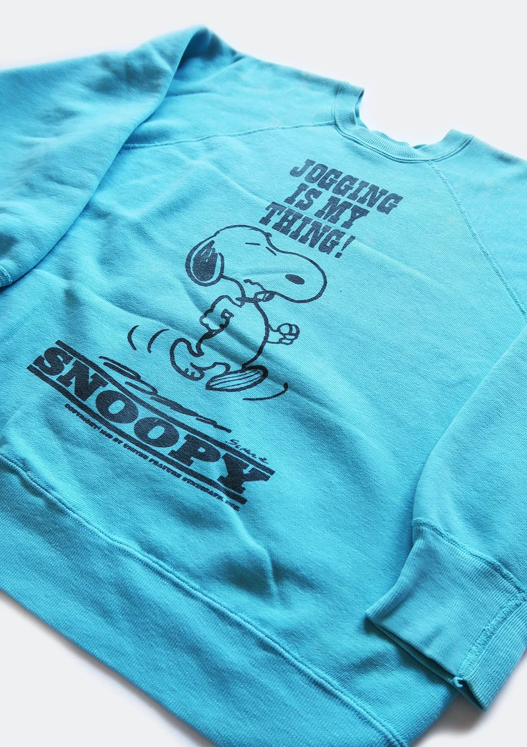 snoopy_jogging_04.jpg