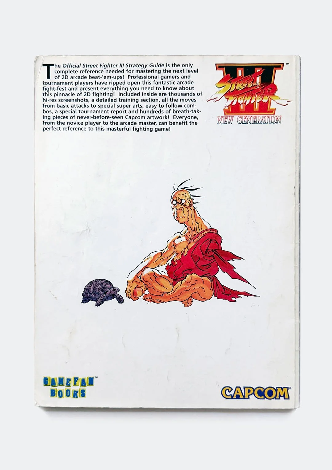 street_fighter_III_guide_02.jpg