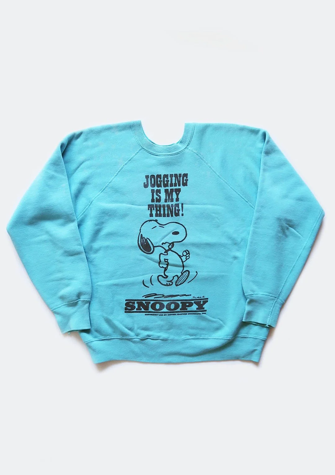 Vintage 60's Mayo Spruce Snoopy Sweatshirt