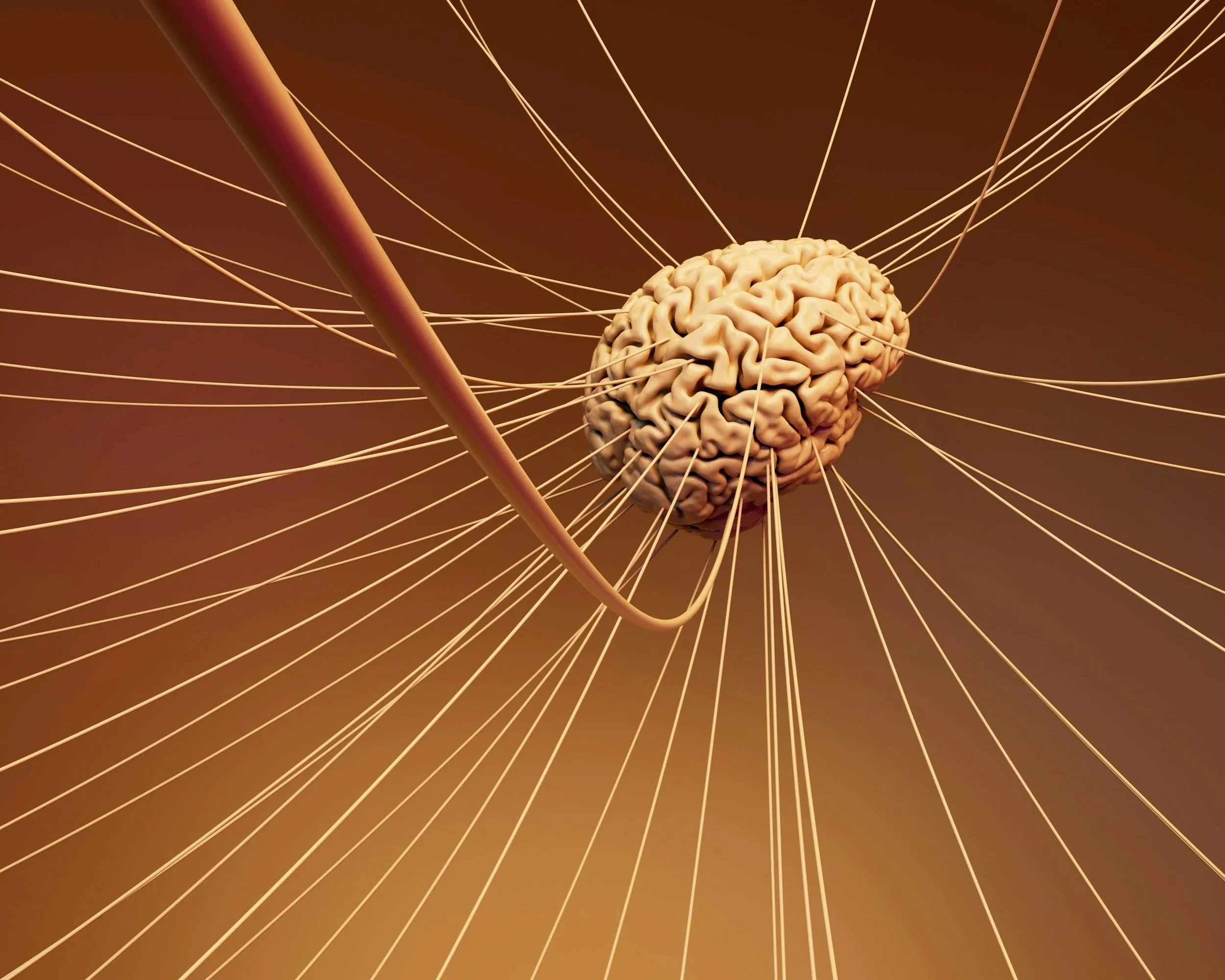 A digital illustration of a neuron with a central cell body and numerous dendrites extending outward, against a brown gradient background.