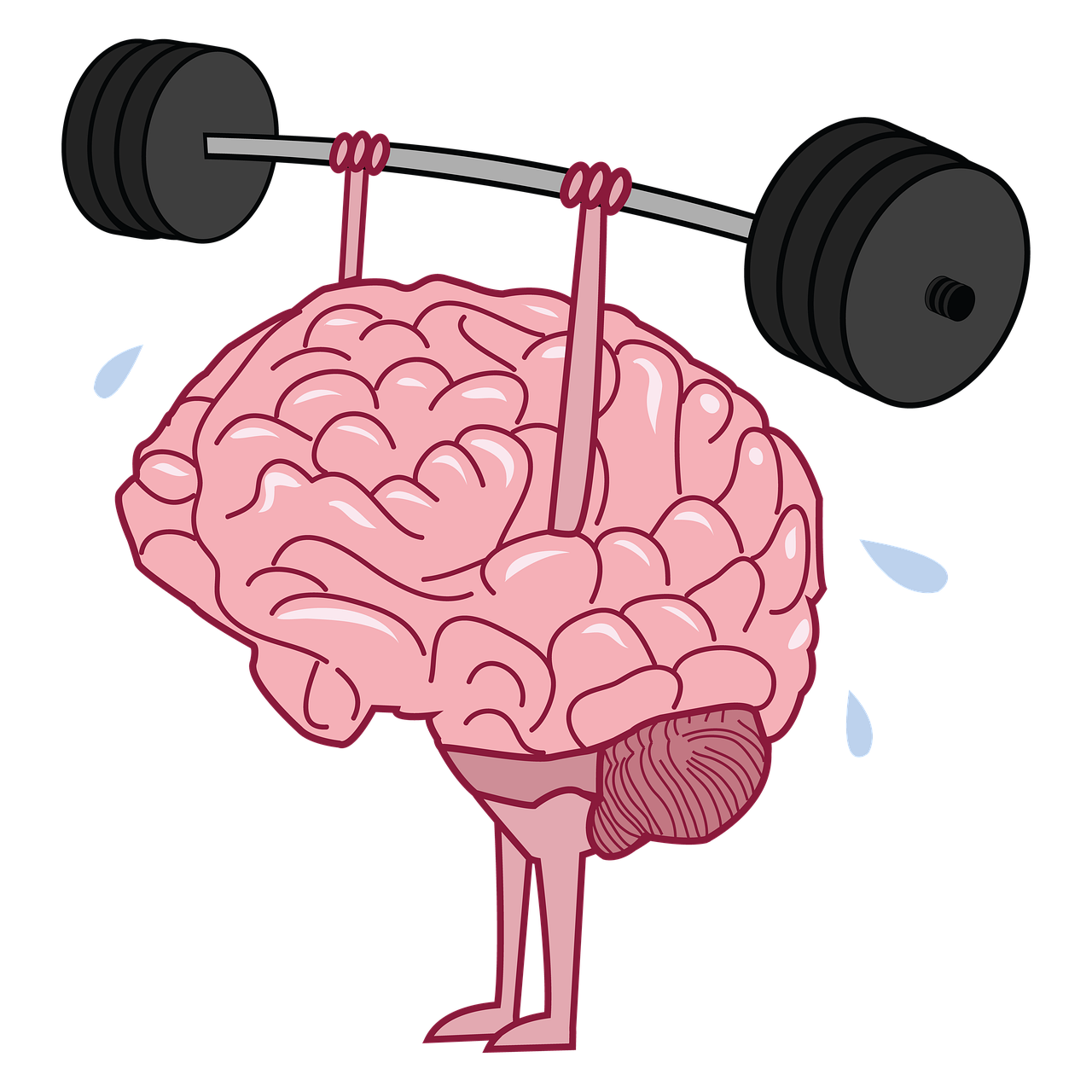 Can Exercise Improve Executive Function in ADHD? A Practical Guide for Parents and Adults