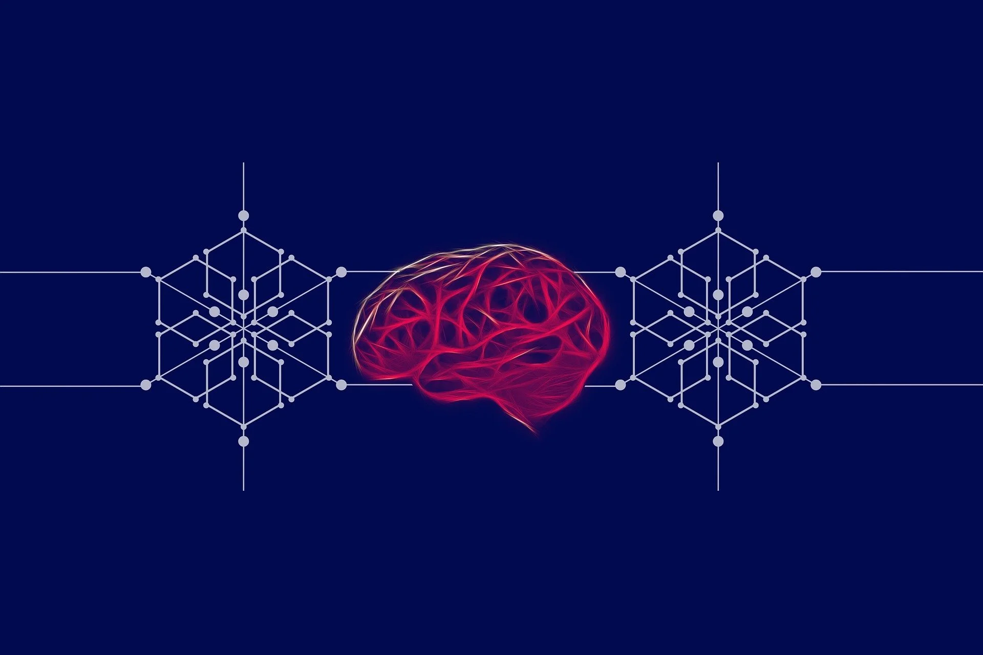 How Does the Brain Develop in Childhood? Why Experience Shapes the Brain