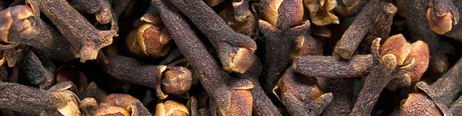 1600x404-clove-ingredient.jpg