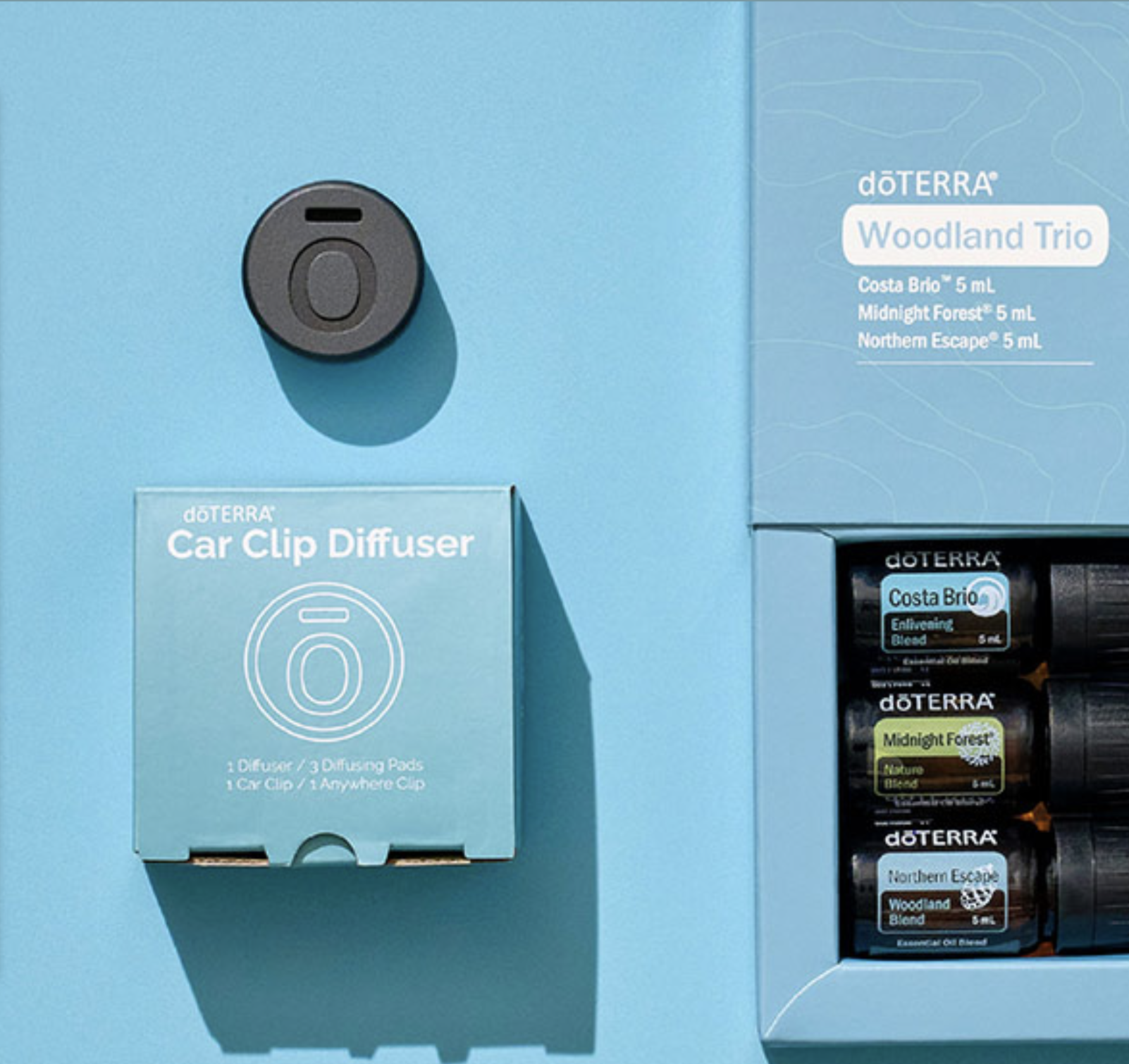 Car Clip Diffuser.png