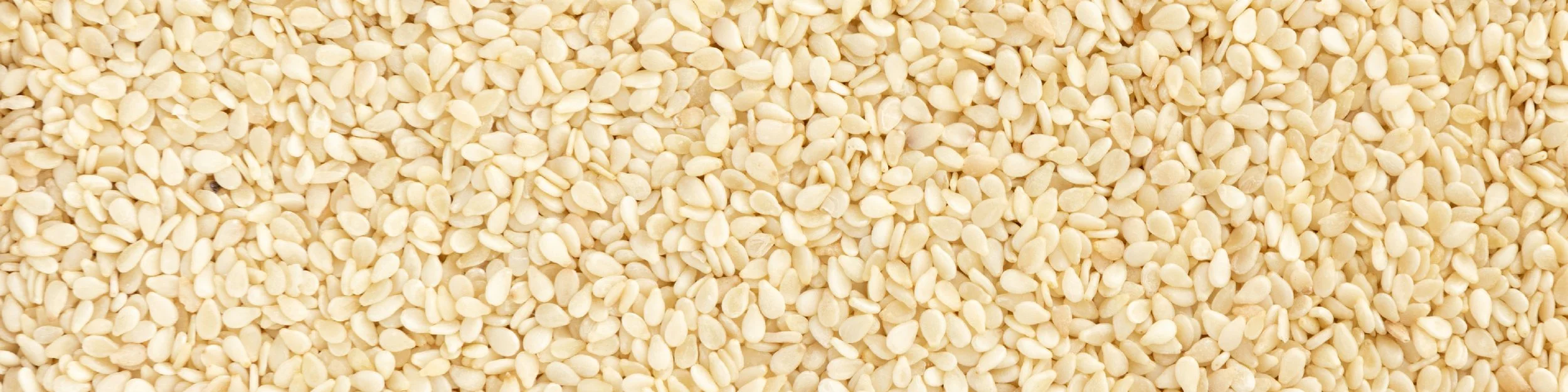 TerraShield 30mL_sesame seed oil - desktop.jpg