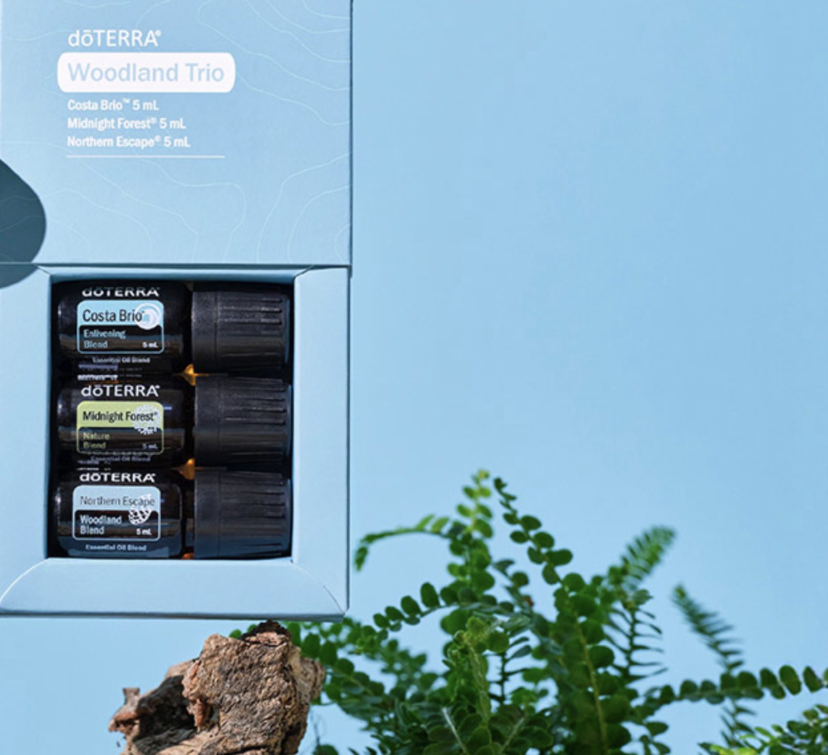 Car Clip Woodland Trio.png