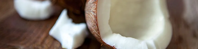 800x200-coconut-passion.jpg