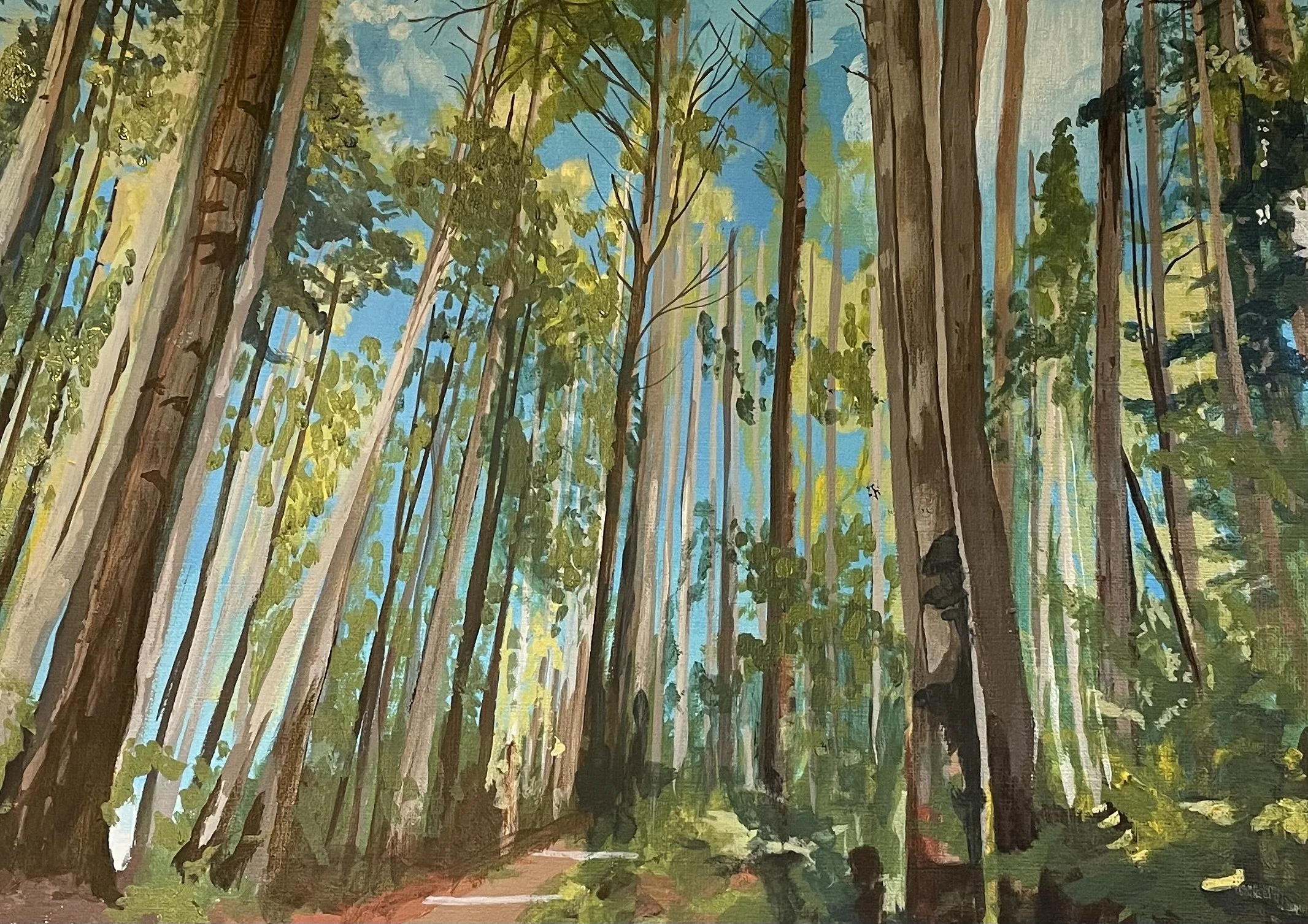 Painting of Pacific Spirit Regional Park in Vancouver BC, with sunlight filtering through the canopy.