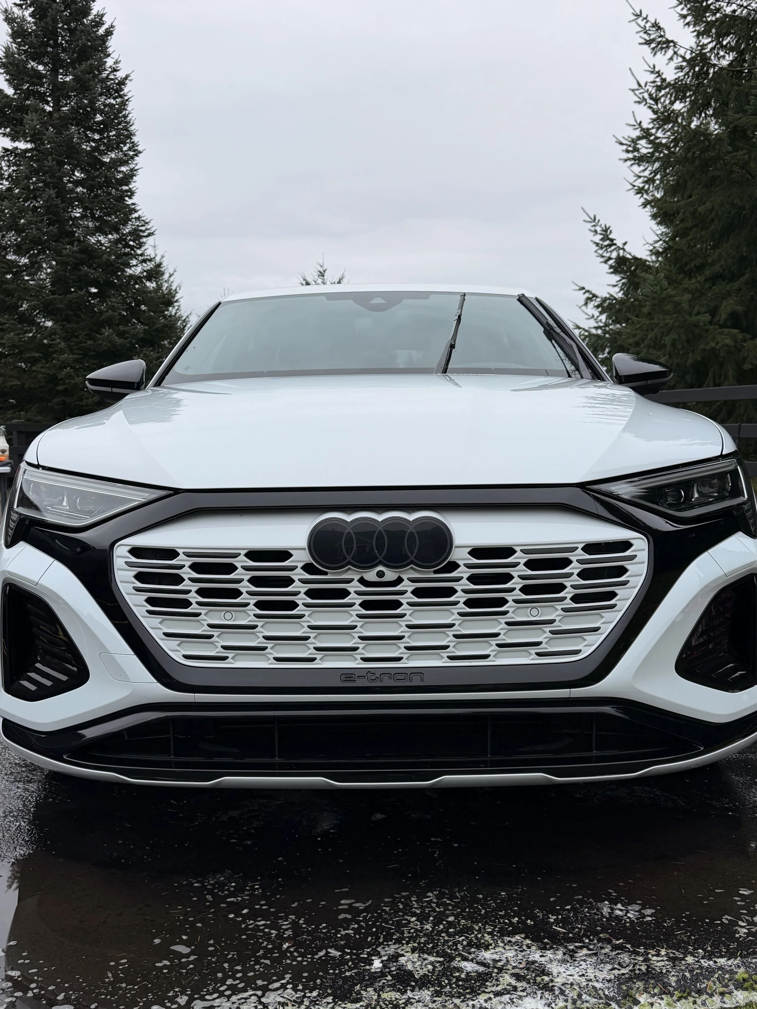 Front view of a white Audi e-tron electric SUV parked outdoors with trees in the background.