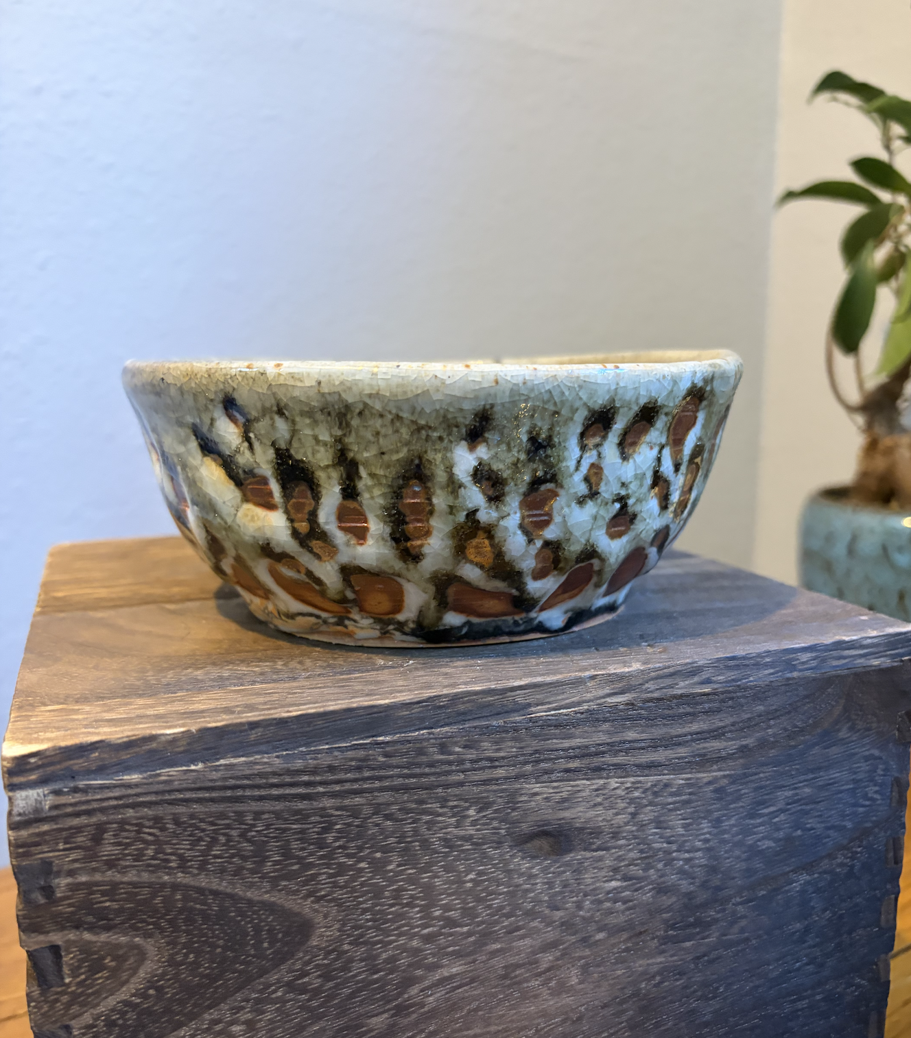 Jaguar Coat Bowl