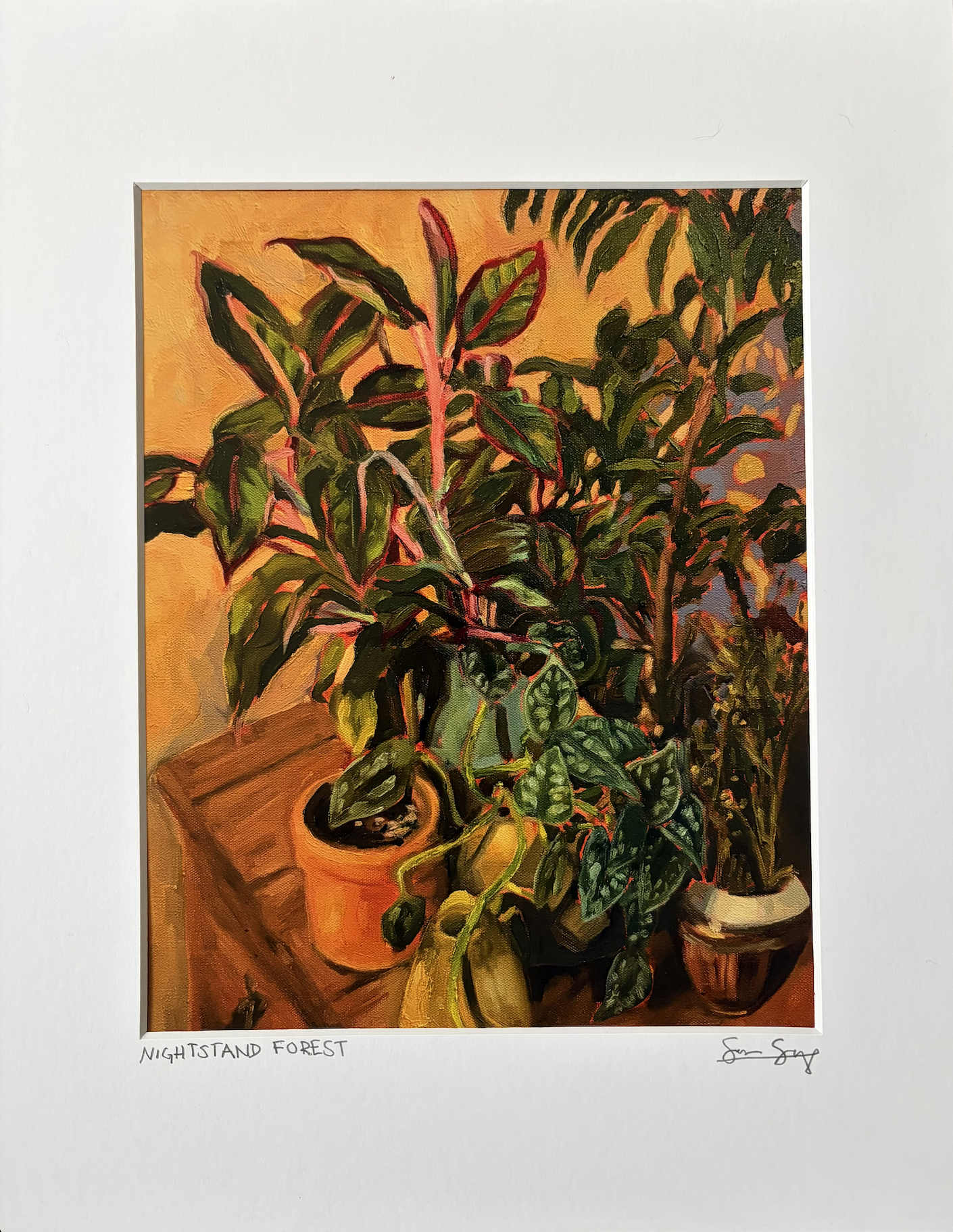 Screenshot 2026-01-11 at 1.23.01 PM.png