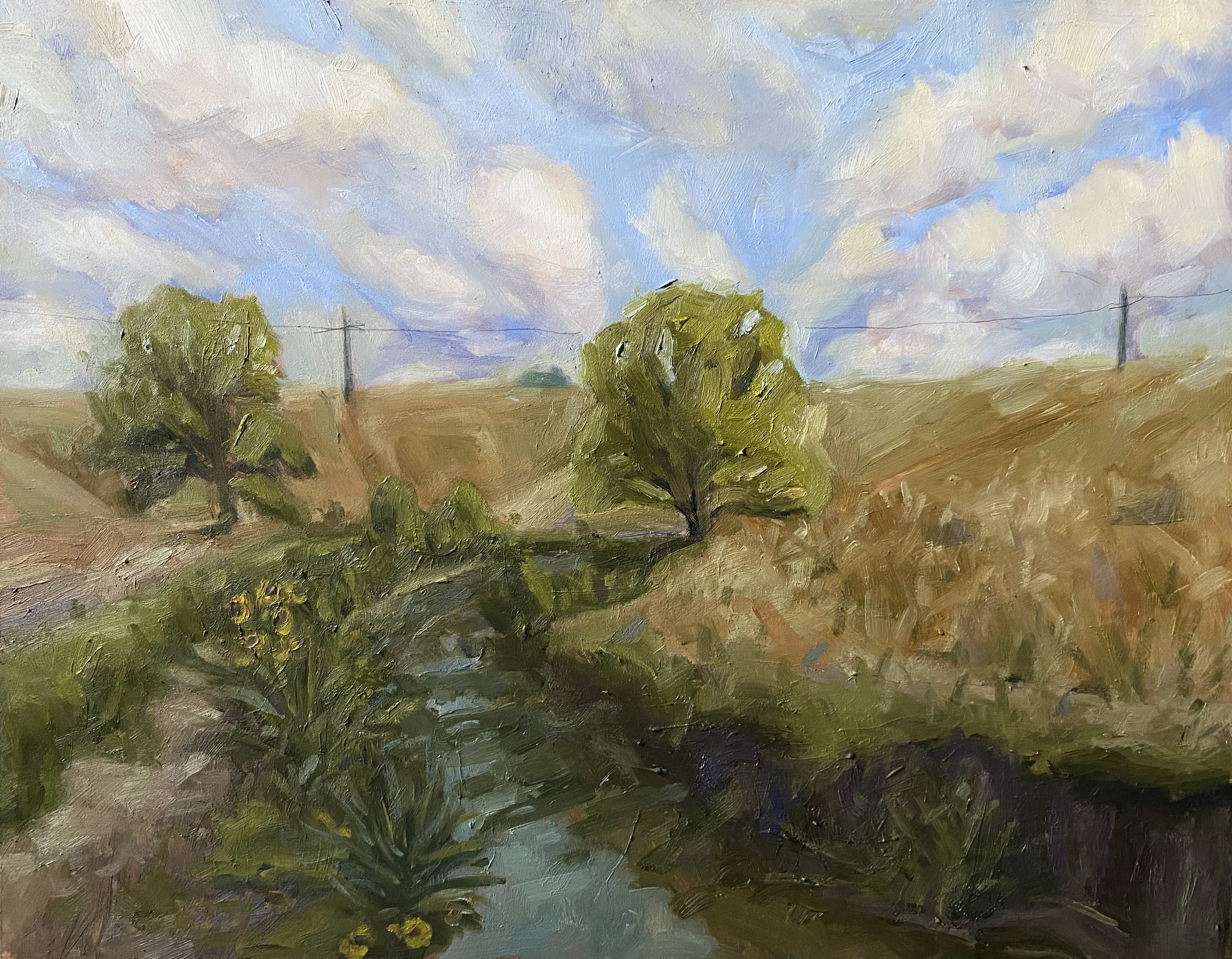 Westminster Hills Dog Park