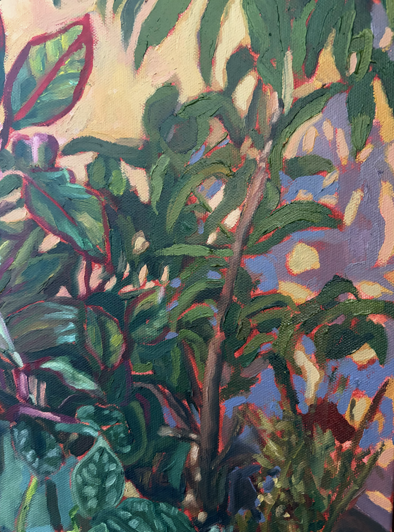 Screenshot 2026-01-10 at 6.40.48 PM.png