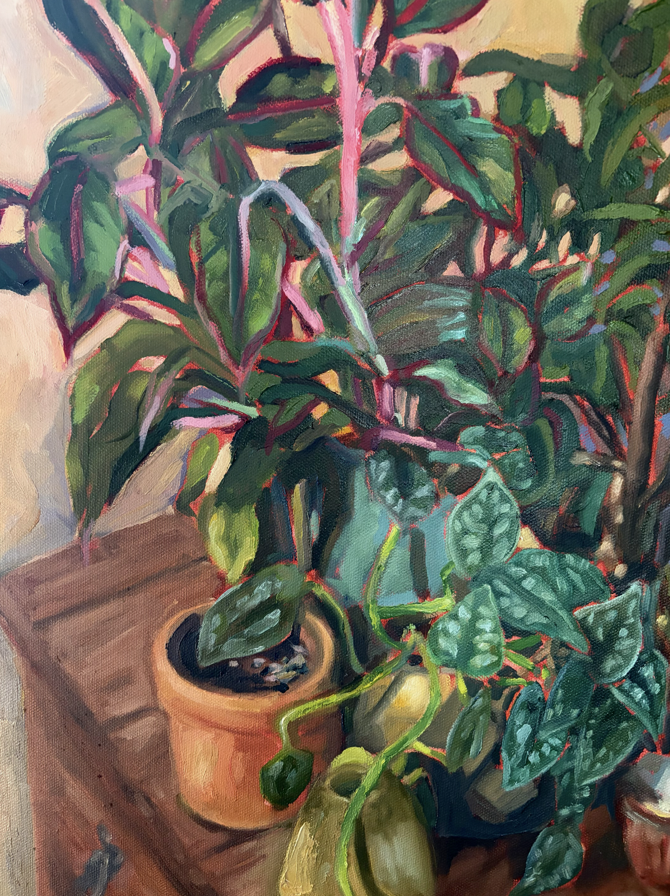 Screenshot 2026-01-10 at 6.41.27 PM.png