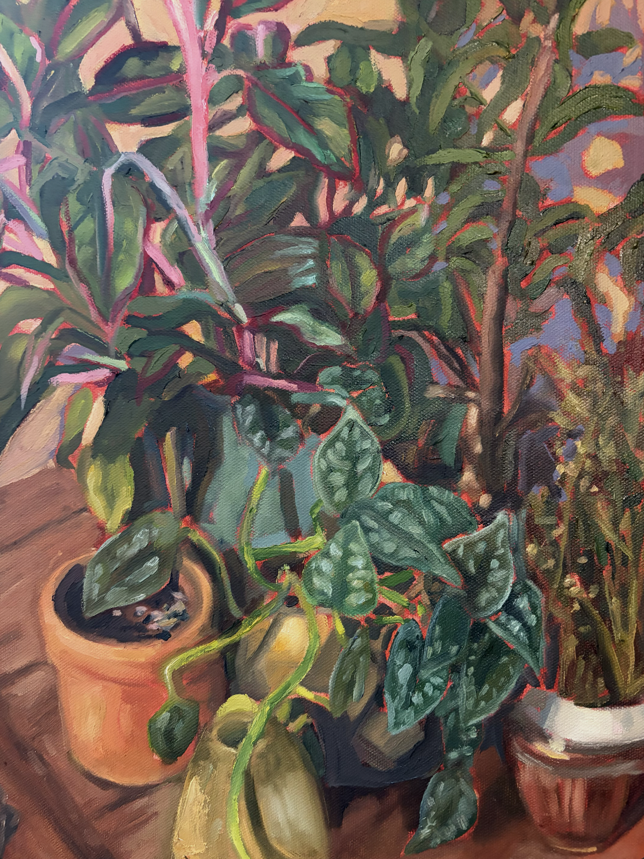 Screenshot 2026-01-10 at 6.41.10 PM.png