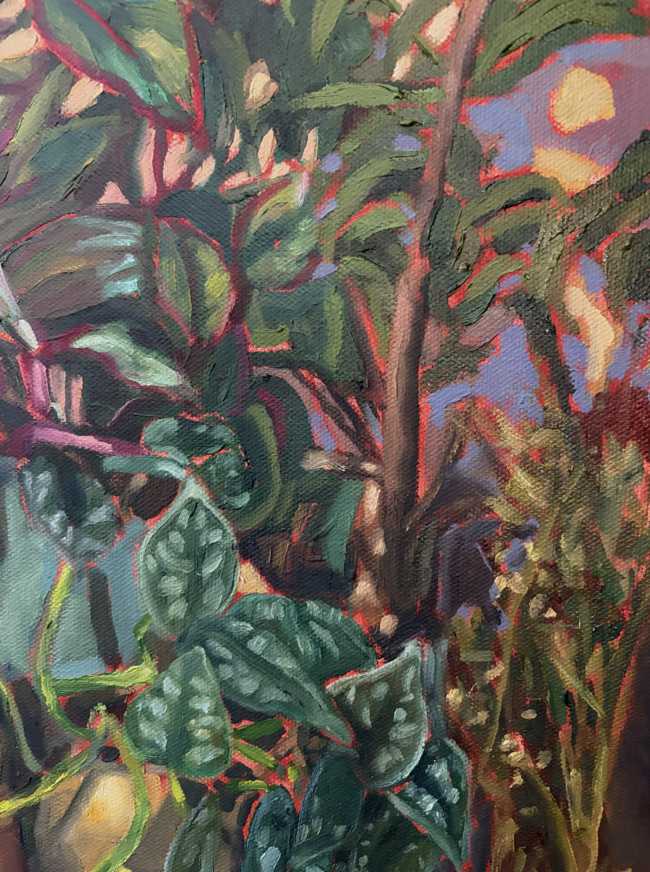 Screenshot 2026-01-10 at 6.40.57 PM.png