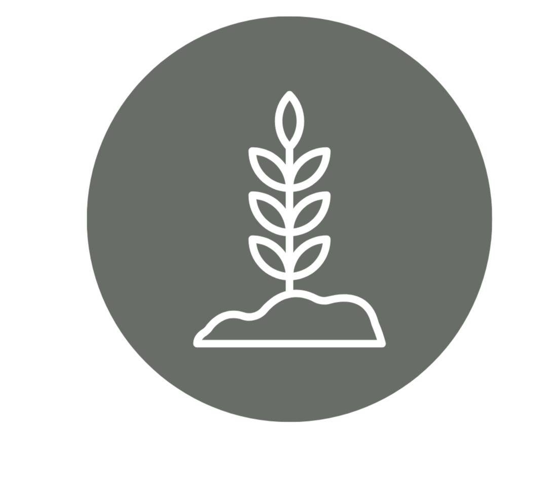 Icon of a plant growing from soil, with a gray circular background.
