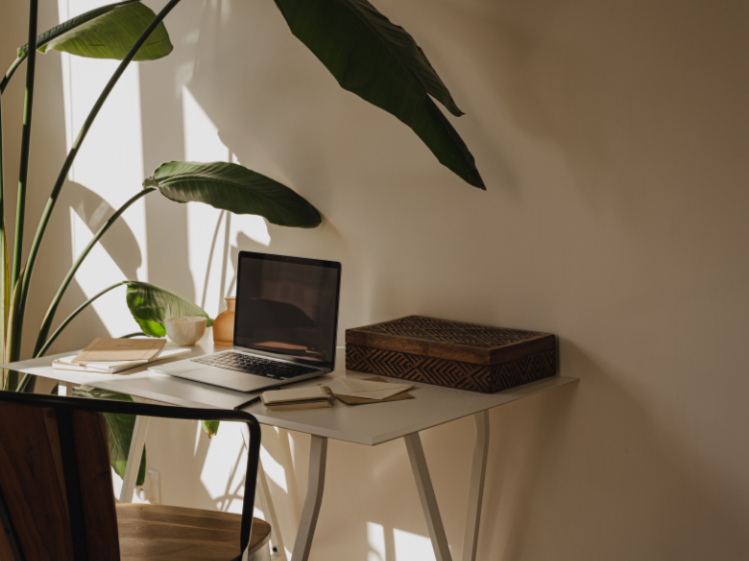 Home workspace with a white desk, open laptop, closed books, decorative box, and large green plant in natural lighting.
