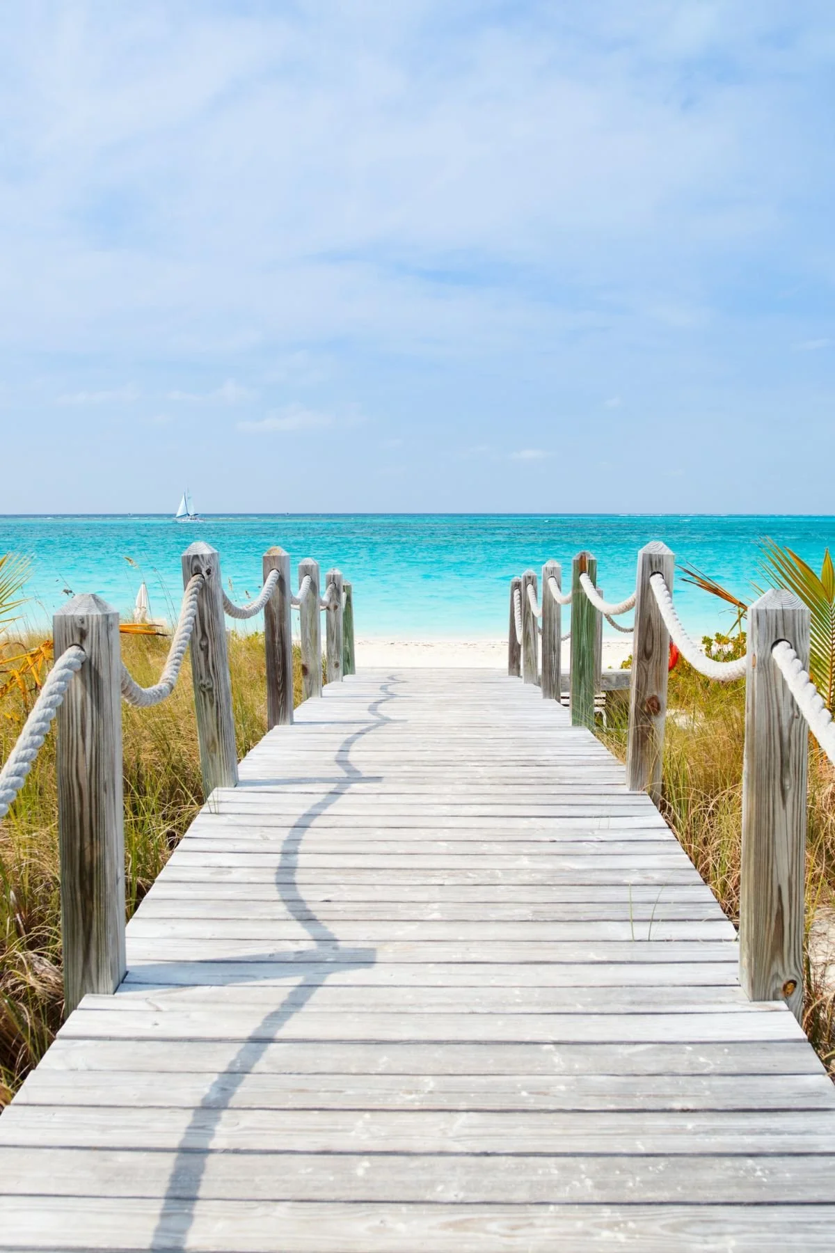 Sunny pathway leading to a calm beach, symbolizing a journey toward peace and healing from relational trauma.