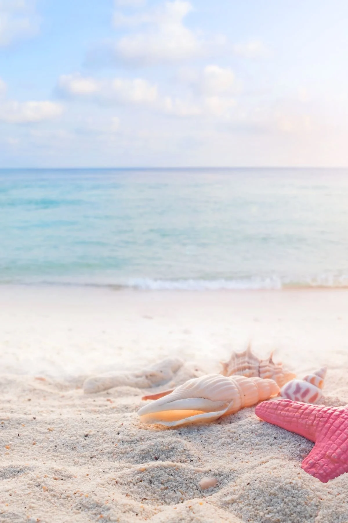 Sea shells on a sandy beach. FAQ on relational trauma, BPD, and CPTSD treatment modalities with Lisa Olinger in Ann Arbor Michigan.