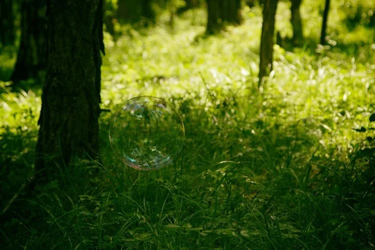 [Webinar Replay] - How to Have a Sane 2026 Tax Season