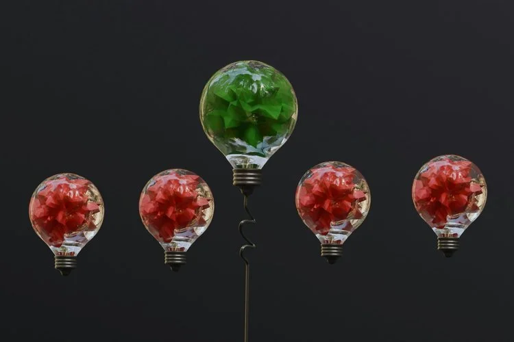 What if your beliefs aren’t facts?