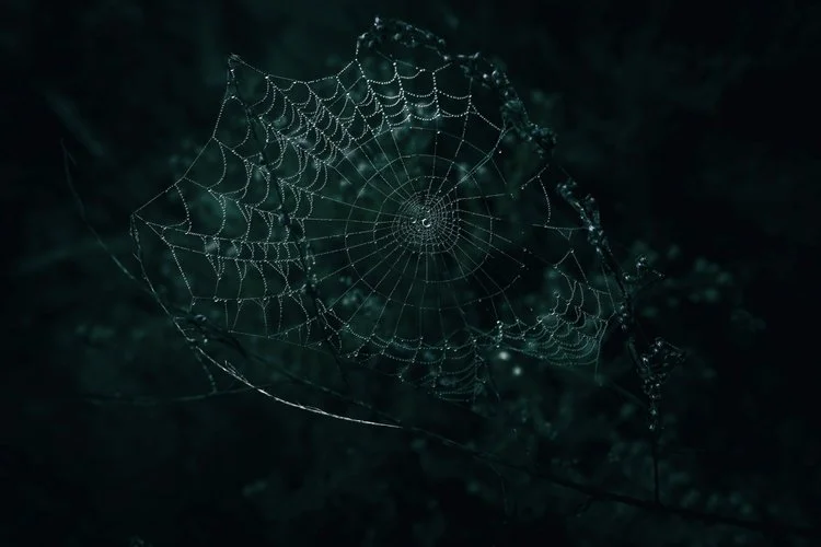 Are you trapped in any of these?