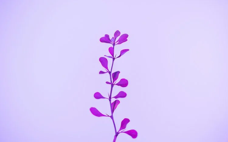 What does your package need to be more obviously profitable?