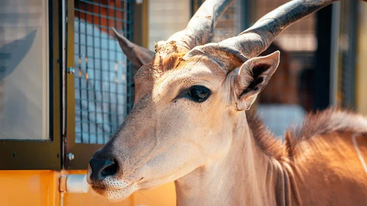 Five ways to say no​