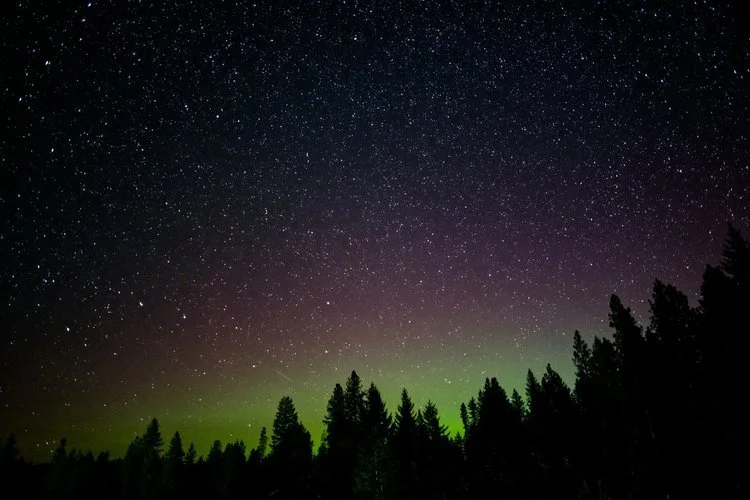 Questions I don't have the answer to​