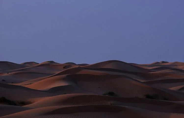 Tempted to sell accounting services​