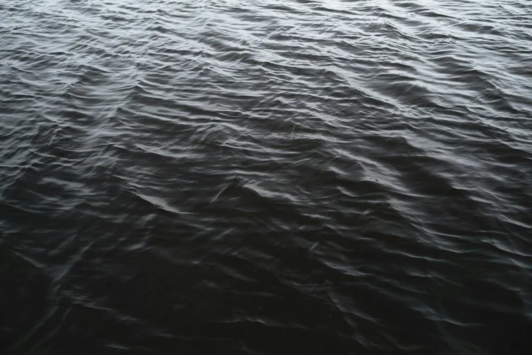 "I'm terrible at raising prices."​