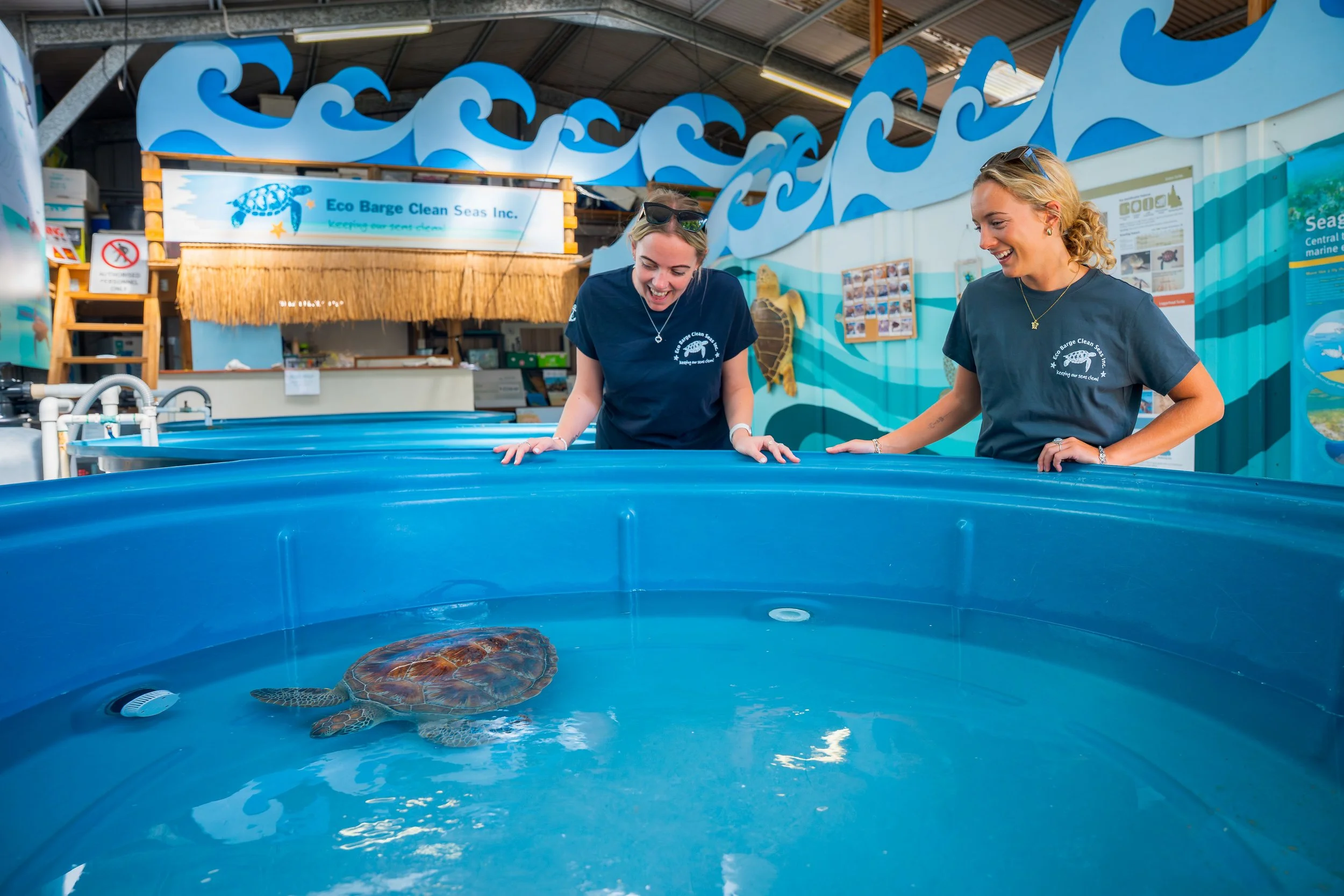 sea turtle rescue centre eco tour guests