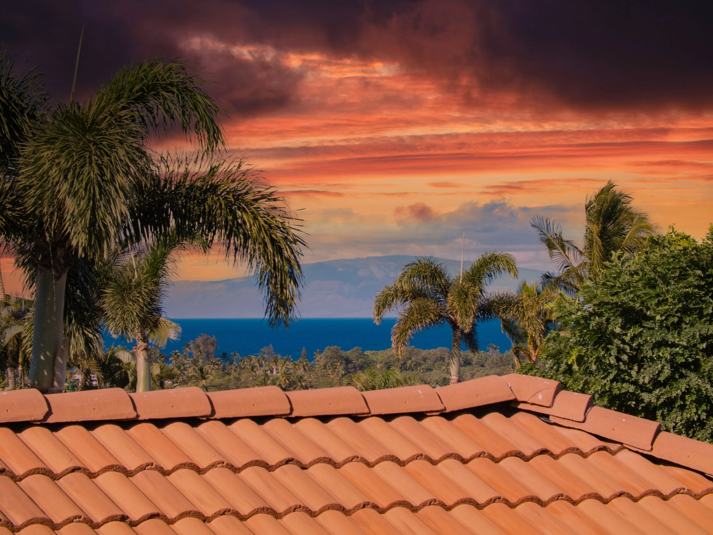 38 (Sunset Option).jpg