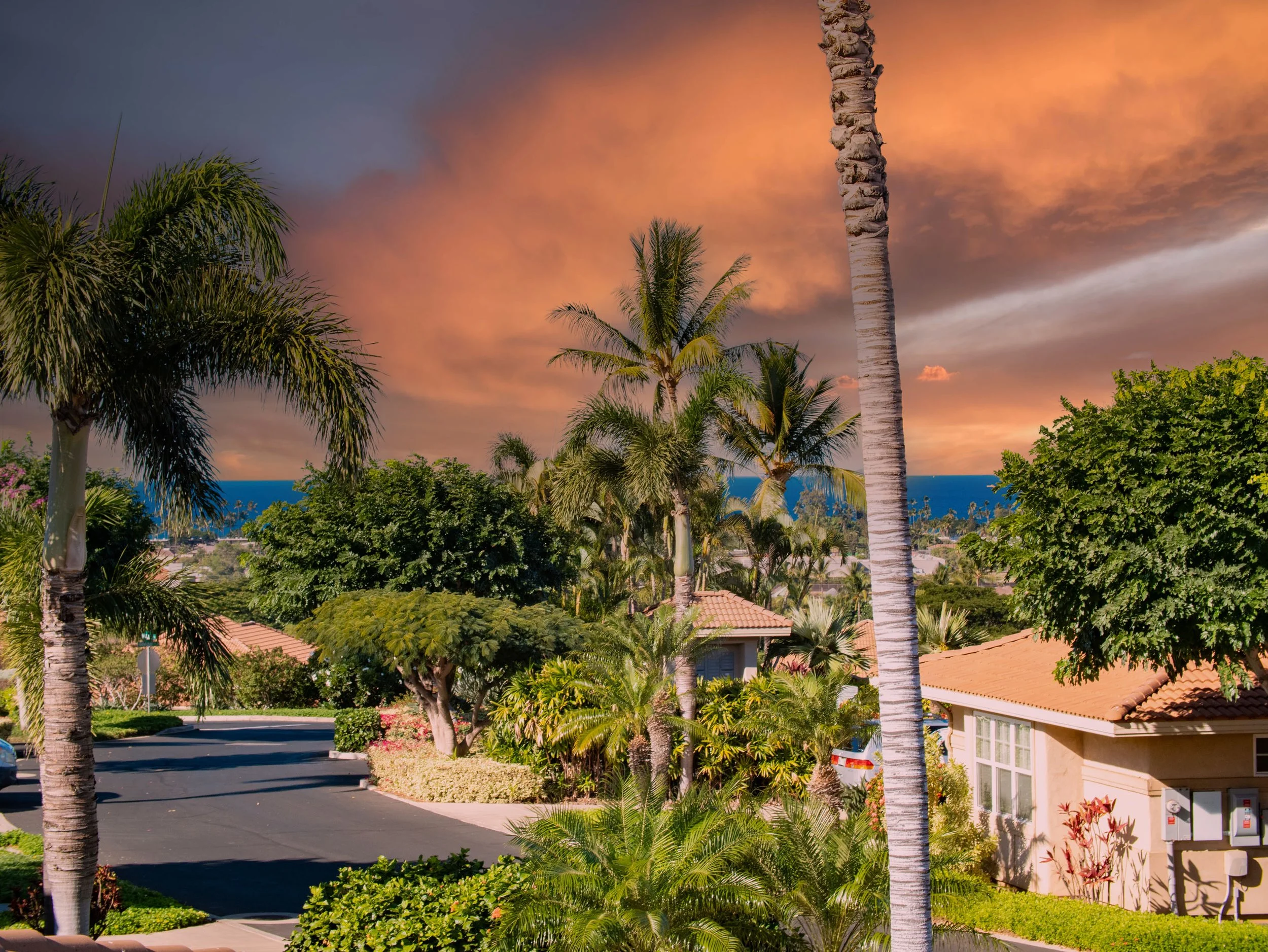 30 (Sunset Option).jpg
