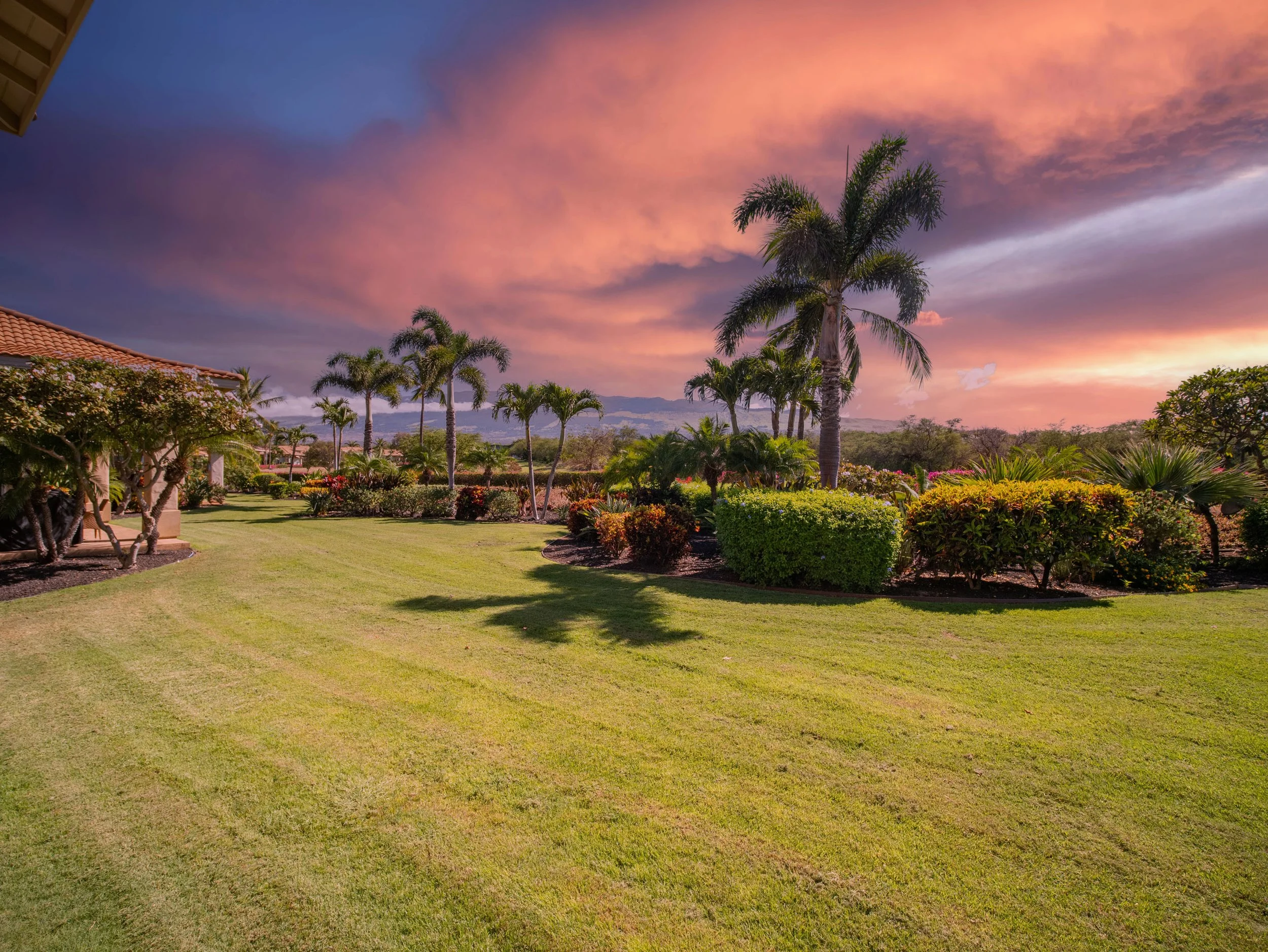 18 (Sunset Option).jpg