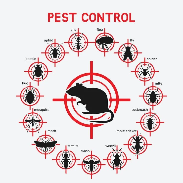Pest Control and Disinfection Services near me Mobile Luxury Cleaning Services Cape Town South Africa
