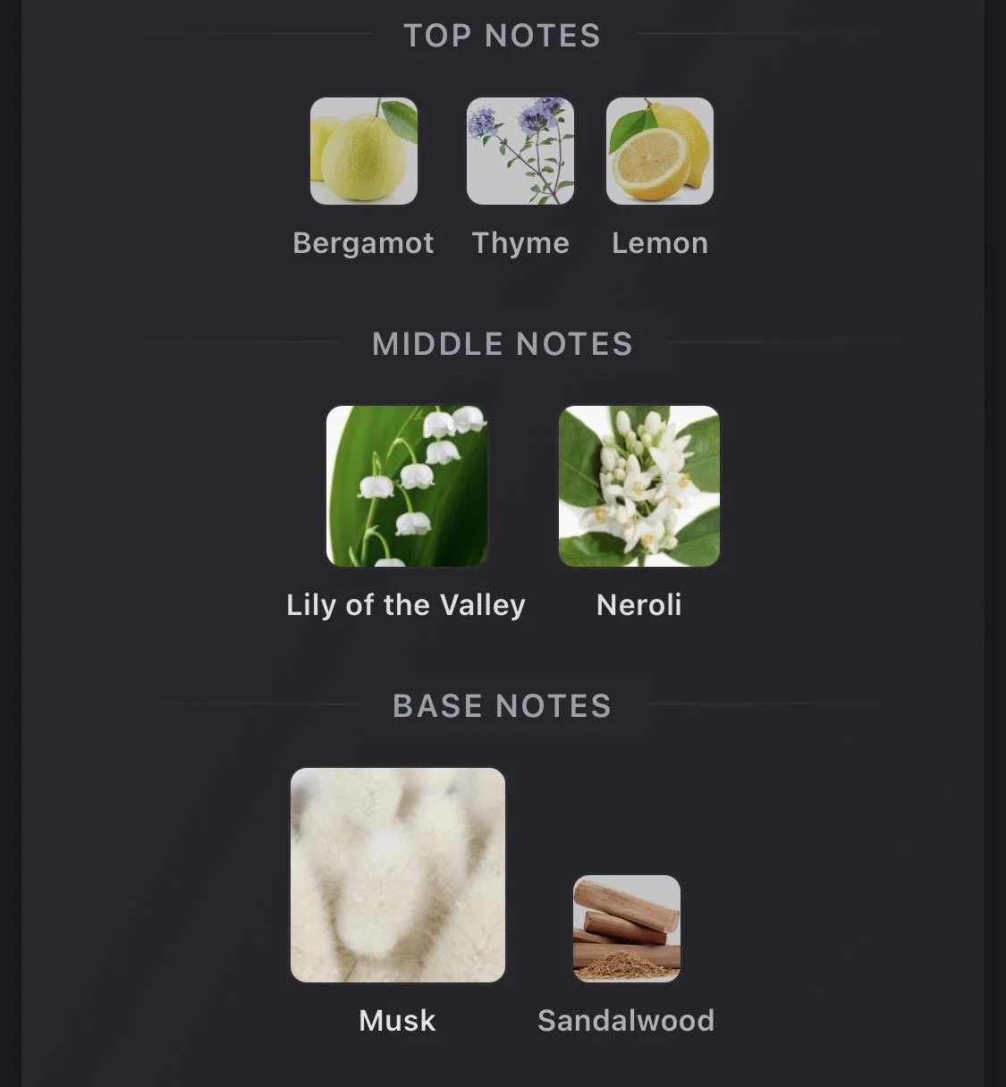 IMG_7354.jpeg
