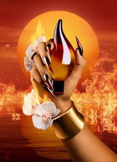Megan Thee Stallion Hot Girl Summer