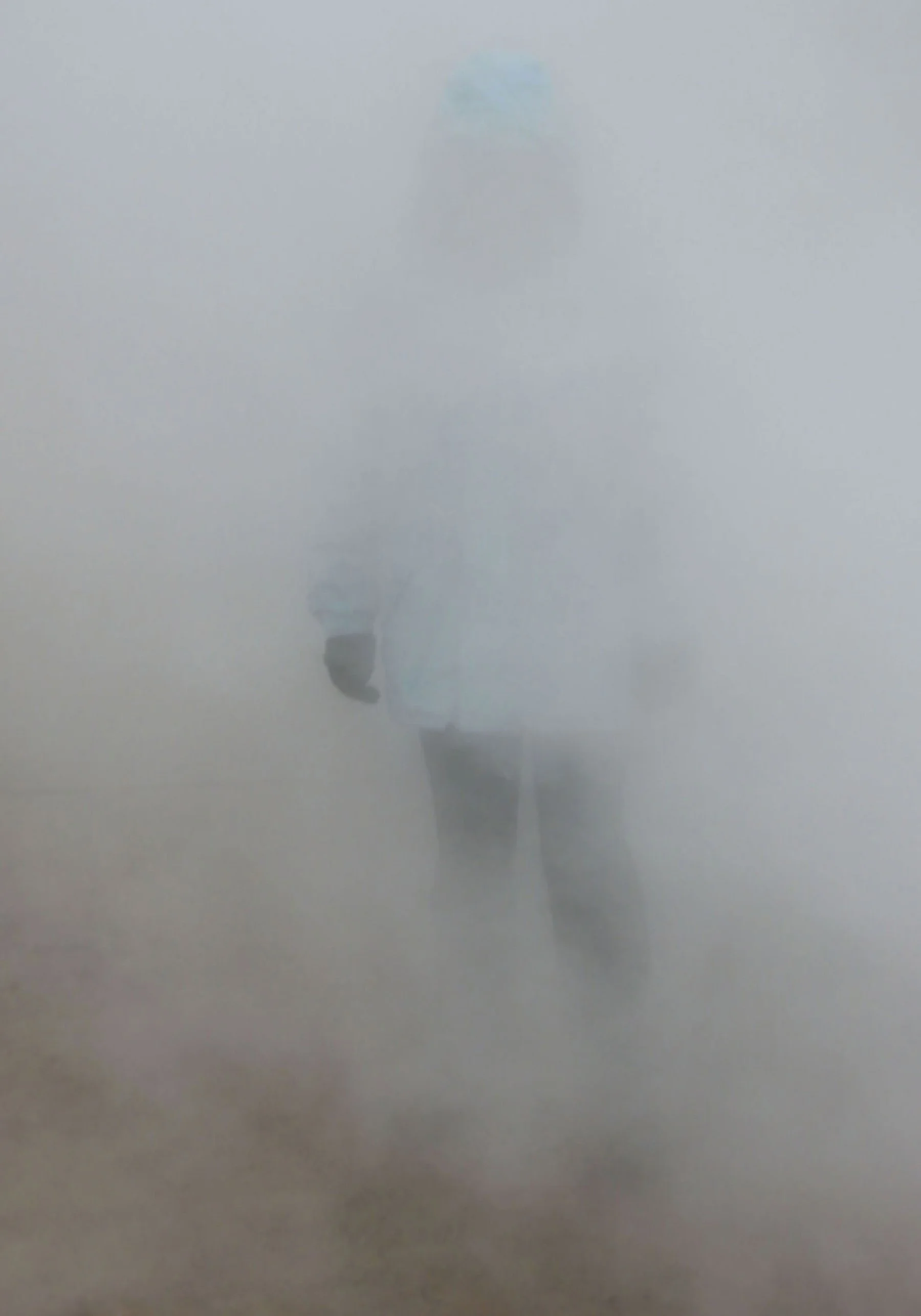Figuur-in-de-mist_169x-116.jpg