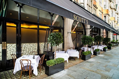 Scott's