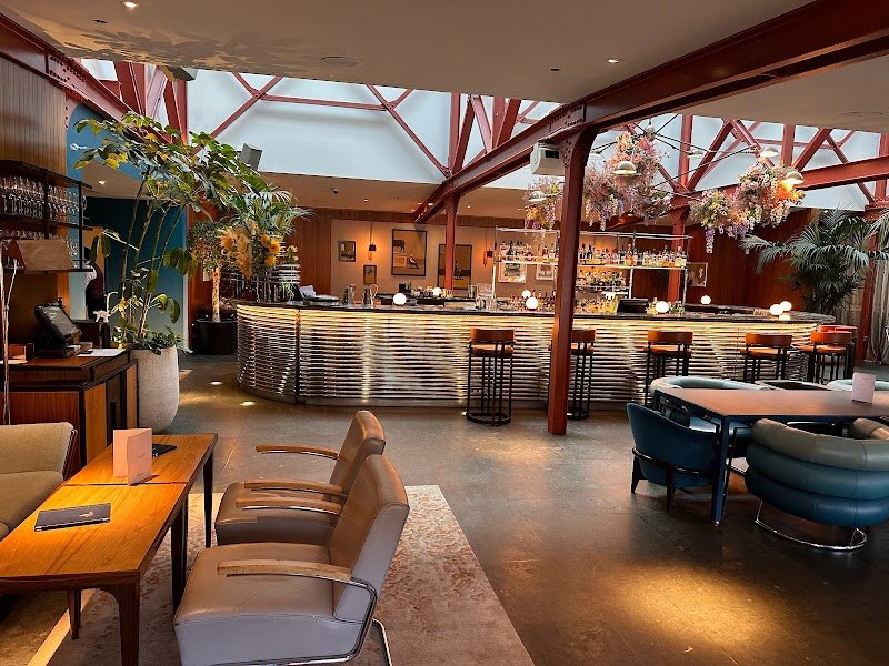 Bluebird Chelsea