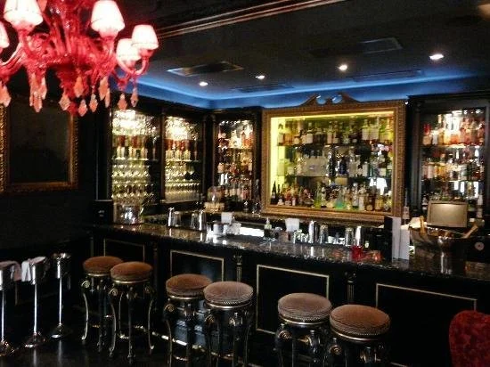 The Chelsea Bar at 11 Cadogan Gardens