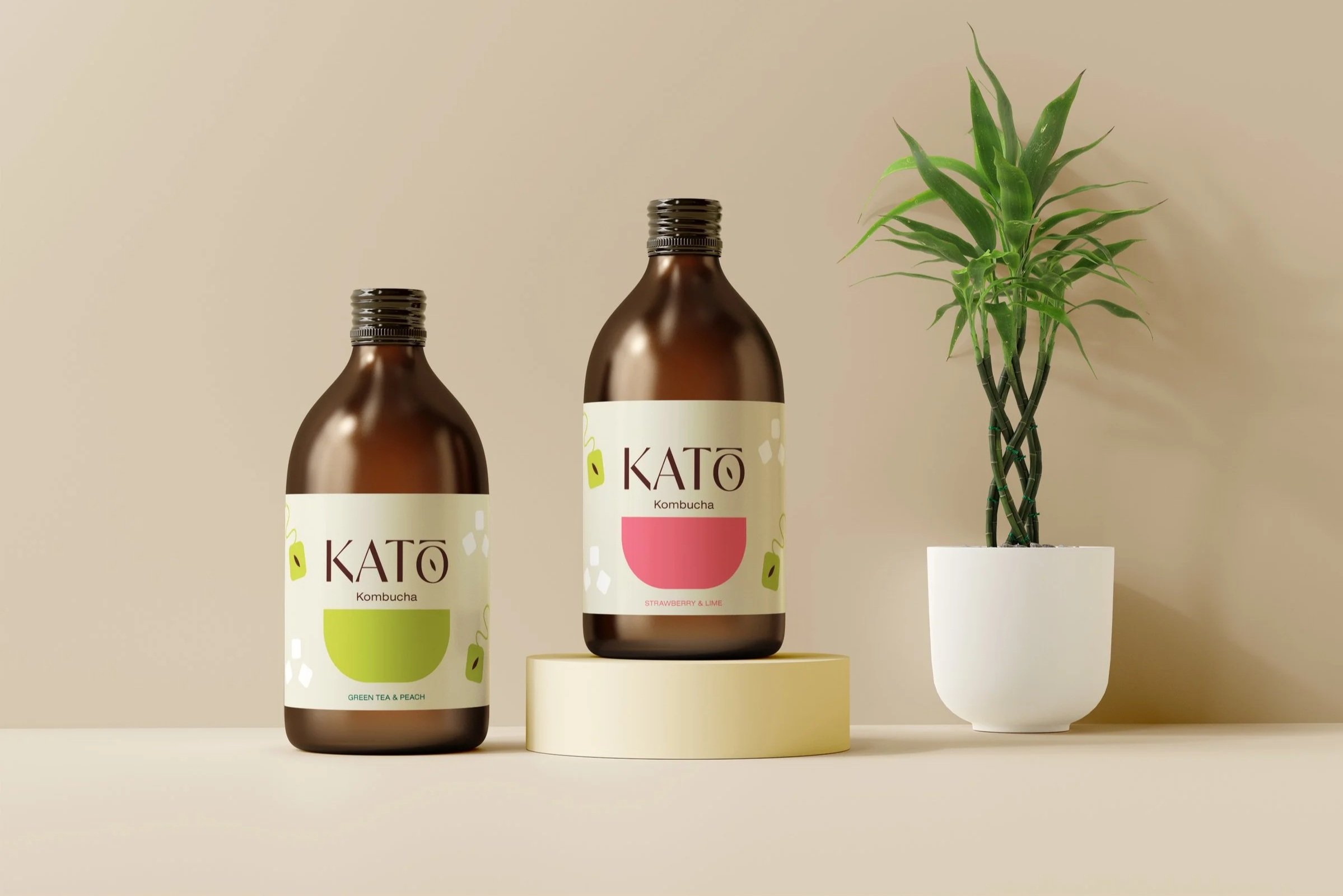 Two bottles of KATO Kombucha, one labeled Green Tea & Peach and the other Strawberry & Lime, are displayed on a neutral background with a potted plant on the right.