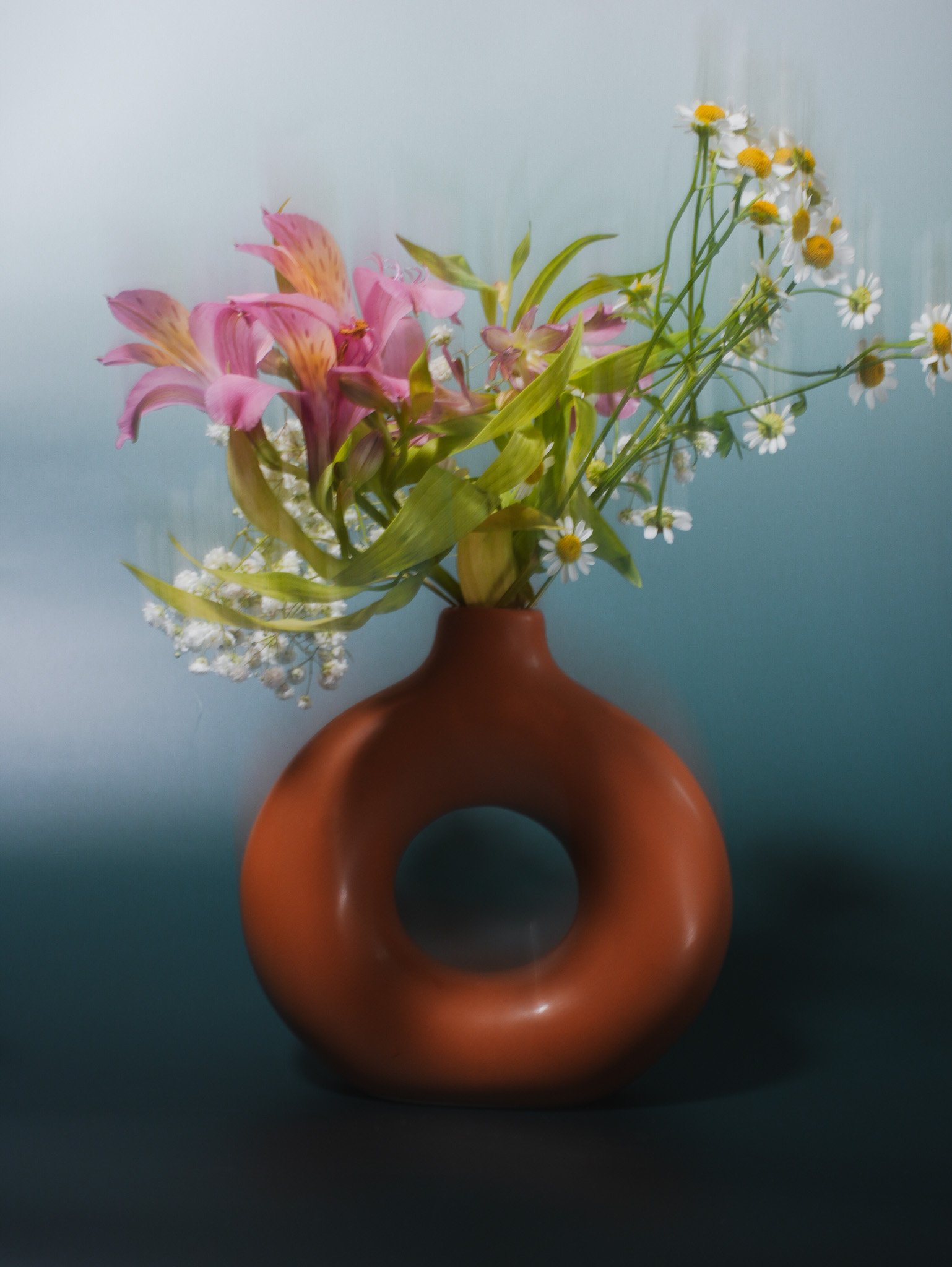 Petals - Direction & Photography