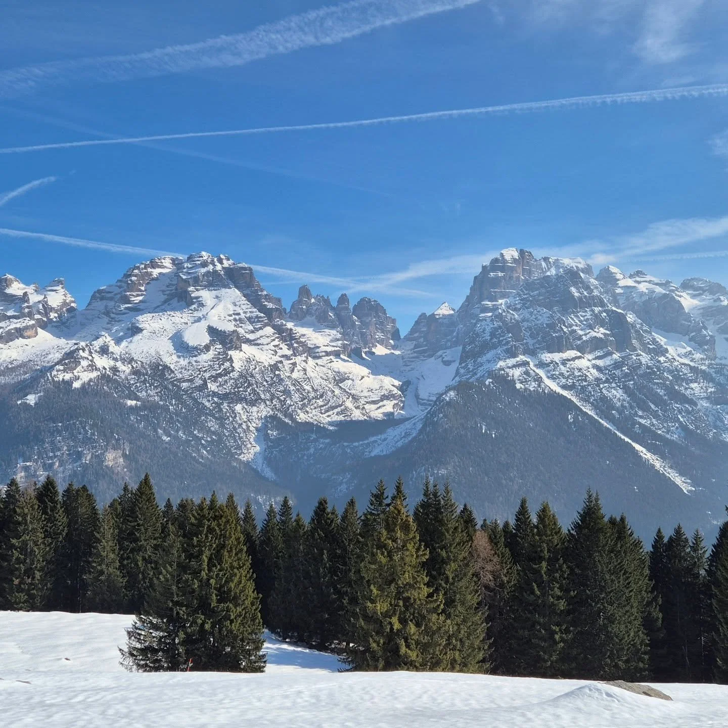 Cima Sella, Bocca di Tuckett, Cima Brenta, Campanile Alto e Crozzon di Brenta.
Visti dal Ritorto ❣️⛰️