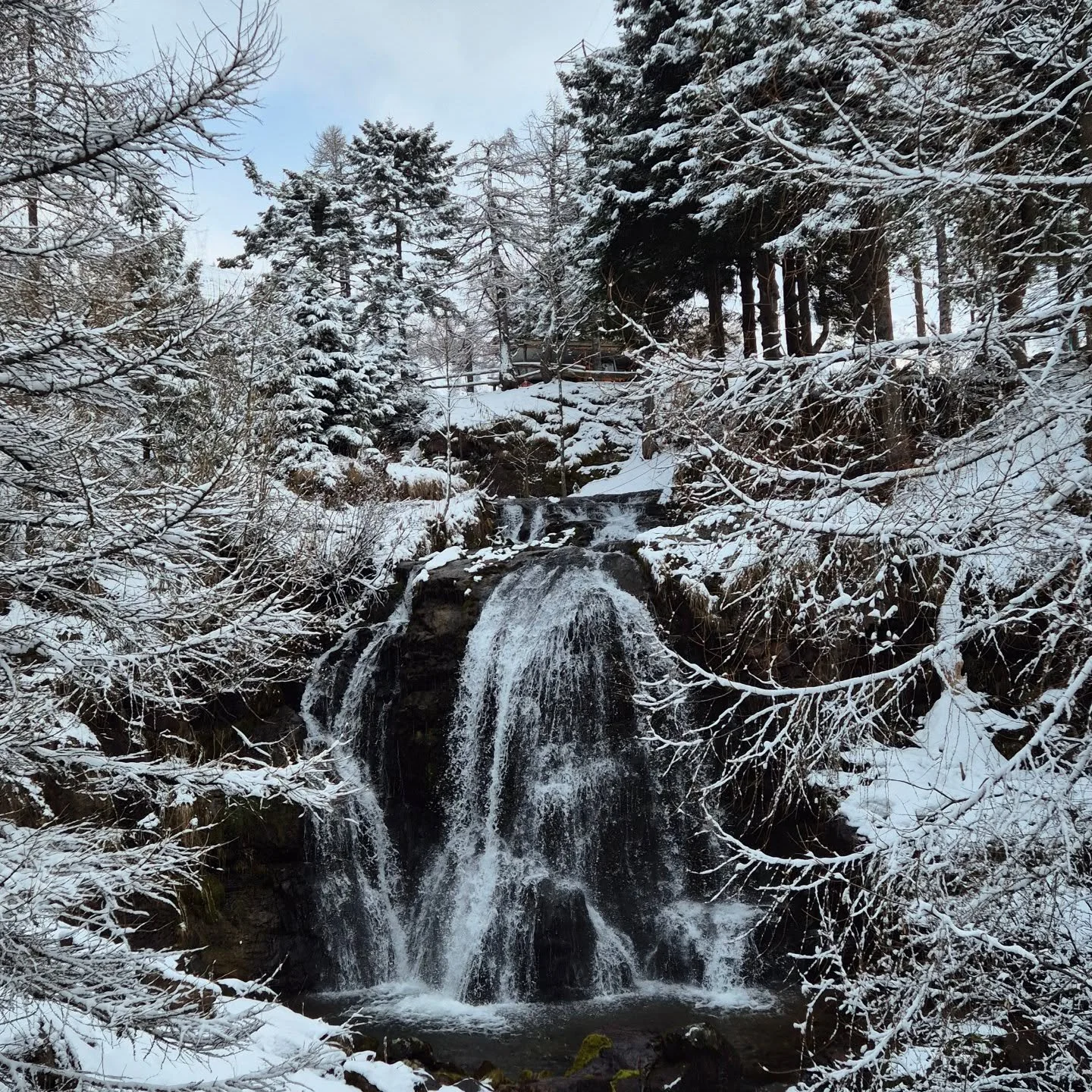 Cascata vicina al Rifugio Tavecchia.
Il punto giusto per partire e dirigersi verso Madonna della Neve, il Lago di sasso e... il Pizzo del Tre Signori.

Posti incantevoli immancabili.
Tra il lecchese e la bergamasca piu belle.

⛰️❣️